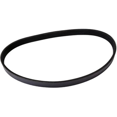 Serpentine Belt by CONTINENTAL - 510K5MK pa1