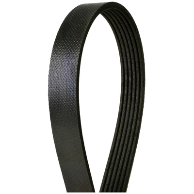 CONTINENTAL - 514K6MK - Serpentine Belt pa2