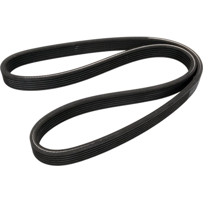 CONTINENTAL - 519DK6MK - Mileage Maker Dual-Sided Multi V-Belt pa1