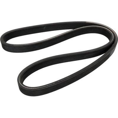 CONTINENTAL - 5DPK1554 - Serpentine Belt pa5
