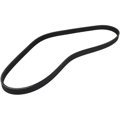 CONTINENTAL - 5PK1015 - Serpentine Belt pa2