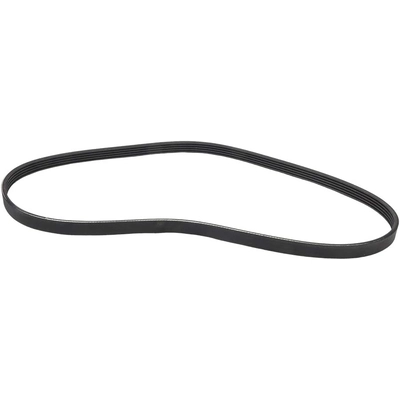 CONTINENTAL - 5PK1030 - Serpentine Belt pa2