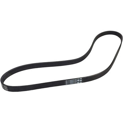 CONTINENTAL - 5PK1120 - V-Belt pa2