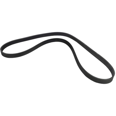 CONTINENTAL - 5PK1165 - Serpentine belt pa1