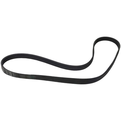 CONTINENTAL - 5PK1165 - Serpentine belt pa2