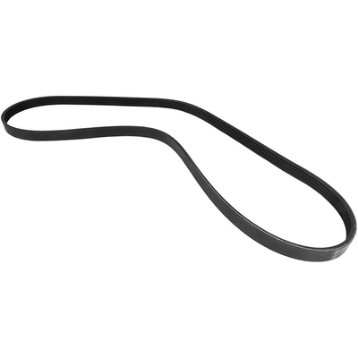 CONTINENTAL - 5PK1240 - Serpentine belt pa1