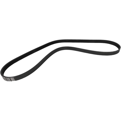 CONTINENTAL - 5PK1240 - Serpentine belt pa2