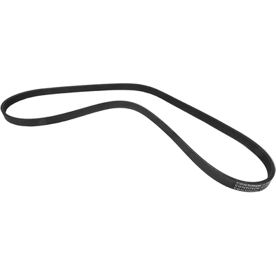 CONTINENTAL - 5PK1290 - Serpentine belt pa2