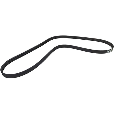 CONTINENTAL - 5PK1295 - Serpentine belt pa1