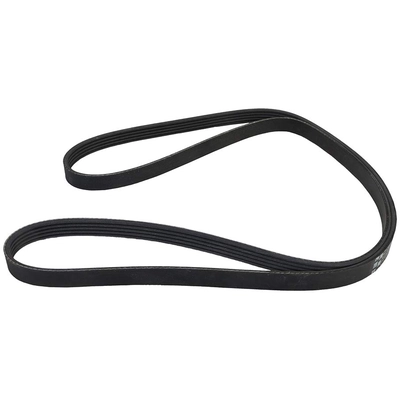 CONTINENTAL - 5PK1765 - Serpentine belt pa2