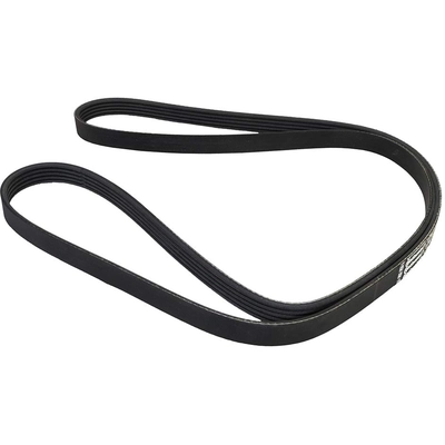 CONTINENTAL - 5PK1765 - Serpentine belt pa3