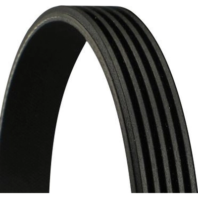 CONTINENTAL - 5PK805 - V-Ribbed Belt pa2