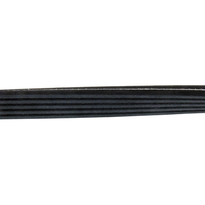 Serpentine Belt by CONTINENTAL - 610DK5MK pa2