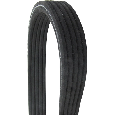 Serpentine Belt by CONTINENTAL - 610DK5MK pa5