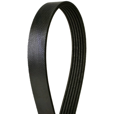 CONTINENTAL - 672K6MK - Serpentine Belt pa1