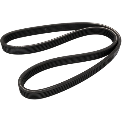 CONTINENTAL - 6DPK1195 - Serpentine Belt pa1