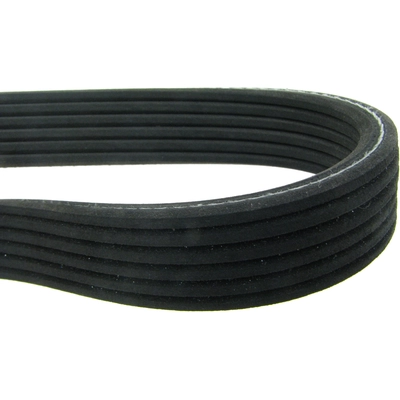 CONTINENTAL - 6DPK1195 - Serpentine Belt pa2