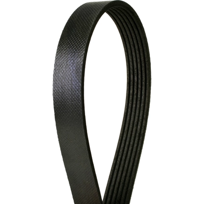 Serpentine Belt by CONTINENTAL - 6K1300 pa2