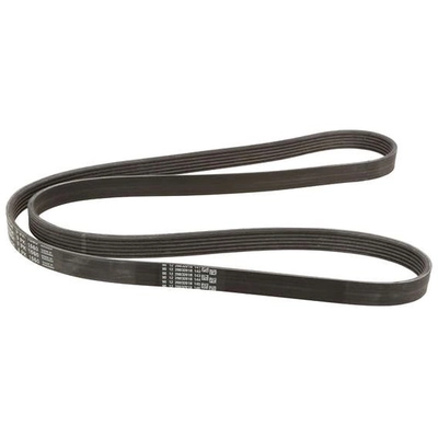 CONTINENTAL - 6K1560 - Serpentine Belt pa1