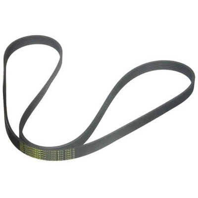 CONTINENTAL - 6K1743 - Serpentine Belt pa1