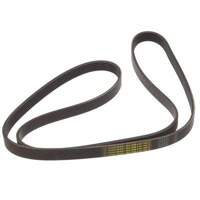 CONTINENTAL - 6K1760 - Serpentine Belt pa1