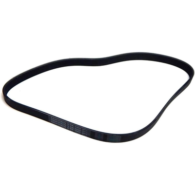 CONTINENTAL - 6PK1000 - Accessory Drive Belt pa2