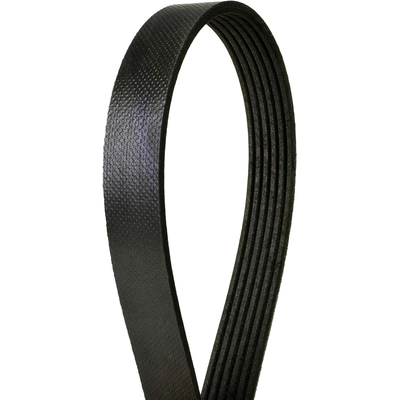 CONTINENTAL - 6PK1026 - Serpentine Belt - Automotive V-Belt pa3