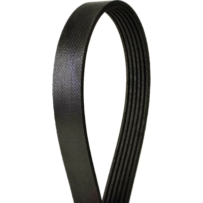 CONTINENTAL - 6PK1054 - Serpentine Belt - Automotive V- Belt pa3