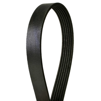 CONTINENTAL - 6PK1153 - Serpentine Belt - Automotive V-Belt pa3