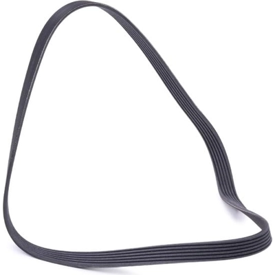 CONTINENTAL - 6PK1205 - Serpentine Belt - Automotive V-Belt pa2