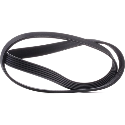 CONTINENTAL - 6PK1205 - Serpentine Belt - Automotive V-Belt pa5