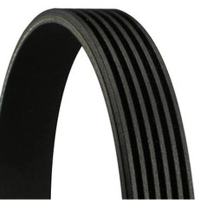 CONTINENTAL - 6PK1441EXTRA - V-Ribbed Belt pa2