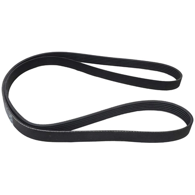 CONTINENTAL - 6PK1805 - Serpentine Belt pa2