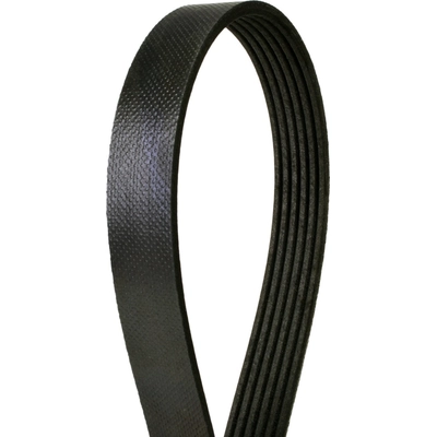 CONTINENTAL - 6PK1956TG - Serpentine Belt pa3