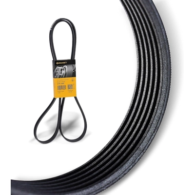 CONTINENTAL - 6PK2080 - Serpentine Belt pa2