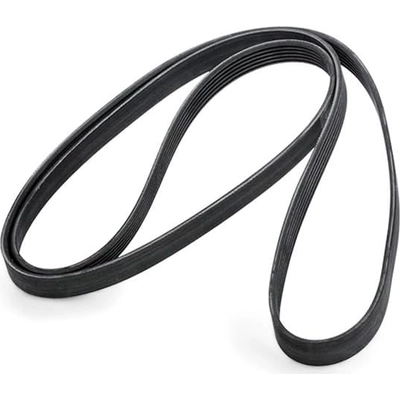 CONTINENTAL - 6PK2145 - Serpentine Belt pa3