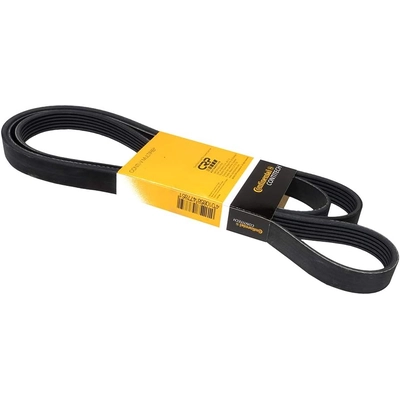 CONTINENTAL - 6PK2260 - Serpentine Belt pa1