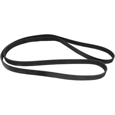 CONTINENTAL - 6PK2260 - Serpentine Belt pa2