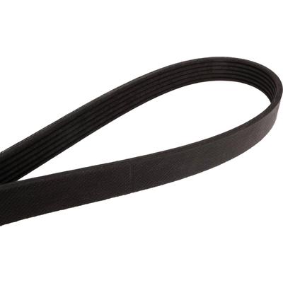 CONTINENTAL - 730K6MK - Serpentine Belt pa2
