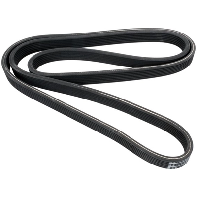 CONTINENTAL - 7DK2950 - Serpentine Belt pa1