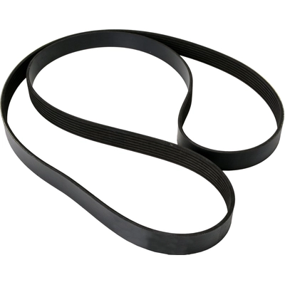 CONTINENTAL - 7K2467 - Metric Multi V-Belt pa1