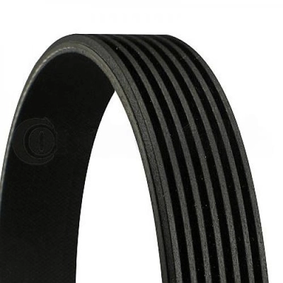 CONTINENTAL - 7PK1933 - V-Ribbed Belt pa2