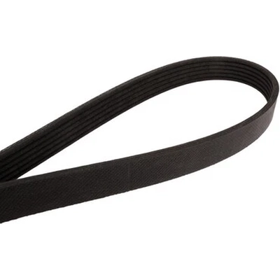 CONTINENTAL - 805K6MK - Mileage Maker Multi V Belt pa1