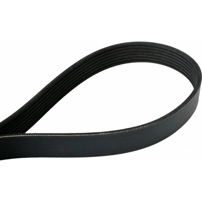 Serpentine Belt by CONTINENTAL - 812K6MK pa5