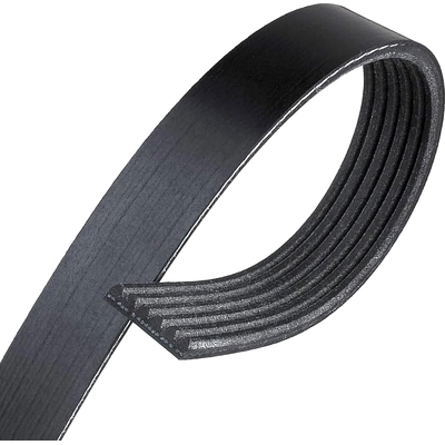 CONTINENTAL - 820K6MK - Serpentine Belt pa1