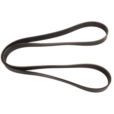 CONTINENTAL - 8K850 - Serpentine Belt pa4