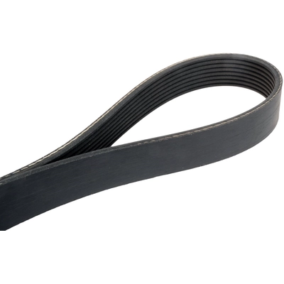 CONTINENTAL - 8PK1289 - Accessory Drive Belt pa1