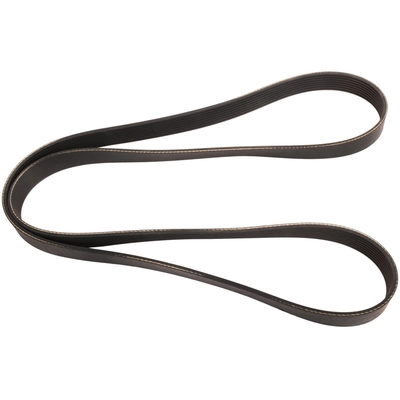 CONTINENTAL - 8PK1289 - Accessory Drive Belt pa2