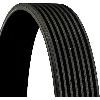 CONTINENTAL - 8PK1376EXTRA - V-Ribbed Belt pa1