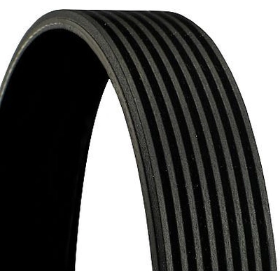 CONTINENTAL - 8PK1620EXTRA - V-Ribbed Belt pa1